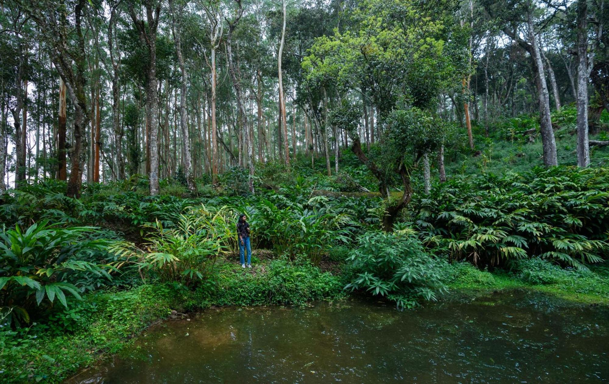 Fort Munnar Chinnakanal Zewnętrze zdjęcie